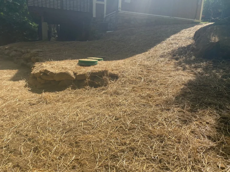 Straw spread over newly graded ground above a finished septic installation, with a green riser lid visible